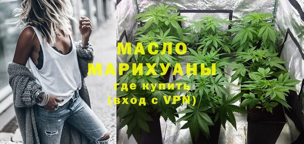 гашик Тында