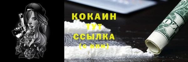 мяу мяу мука Абаза