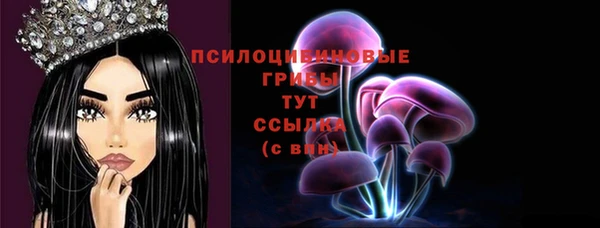 мяу мяу мука Абаза