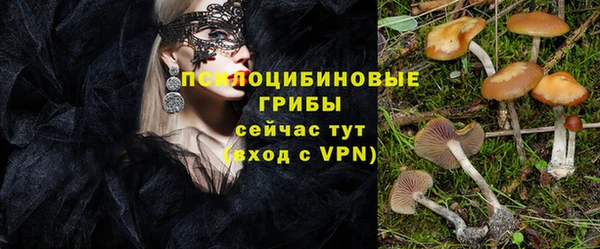 круглые Алексин